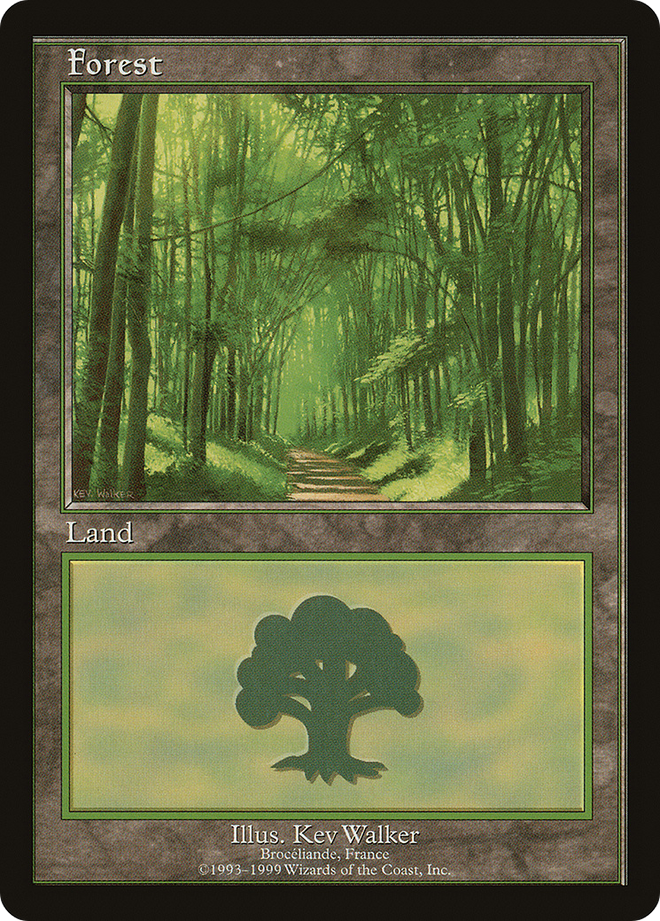 Forest (6) [European Land Program]