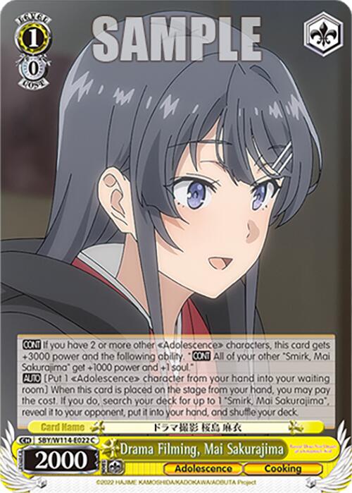 Drama Filming, Mai Sakurajima (SBY/W114 - E022 C) [Rascal Does Not Dream Series] - Anime Alley