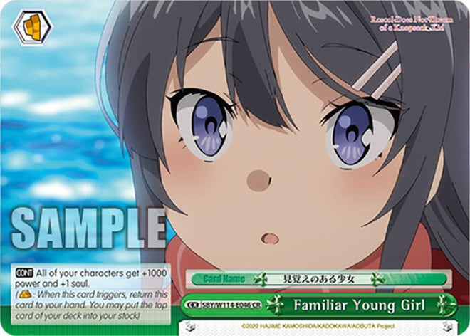 Familiar Young Girl (SBY/W114 - E046 CR) [Rascal Does Not Dream Series] - Anime Alley