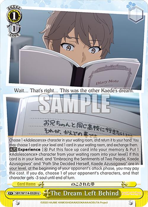 The Dream Left Behind (SBY/W114 - E028 U) [Rascal Does Not Dream Series] - Anime Alley