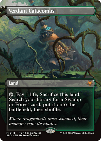 Verdant Catacombs (Borderless) [Tarkir: Dragonstorm Special Guests] - Anime Alley