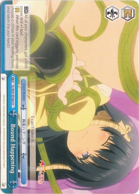 Bound Happening (TL/W37-E100 CR) [To Loveru Darkness 2nd]